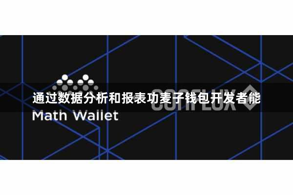 通过数据分析和报表功麦子钱包开发者能