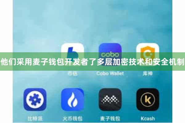 他们采用麦子钱包开发者了多层加密技术和安全机制